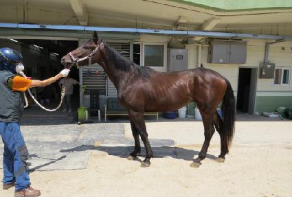 �±������� ����