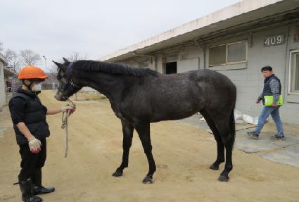 ������� ����