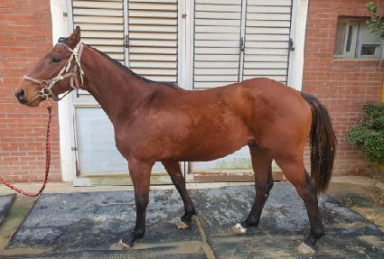 �ǽ���� ����