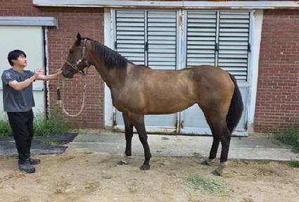 ������ ����