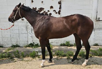 ���� ����