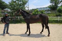 Ŭ��ġ���� (CLUTCH MAGIC) ����