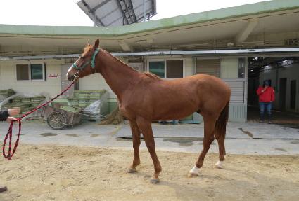 ����� ����