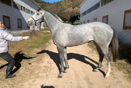 Ʈ���� ����