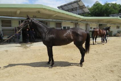 Ŀ�ٶ��ູ ����