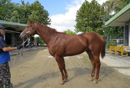 �ö��׸��� ����