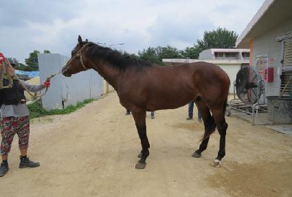 ������������ ����