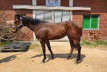 ���ǵ帲 (SEONGSIL DREAM) ����