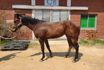 ���ǵ帲 ����