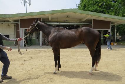 �̲��� ����