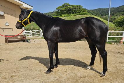 ����ũ���� ����