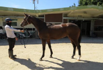 �Ķ��̹� ����