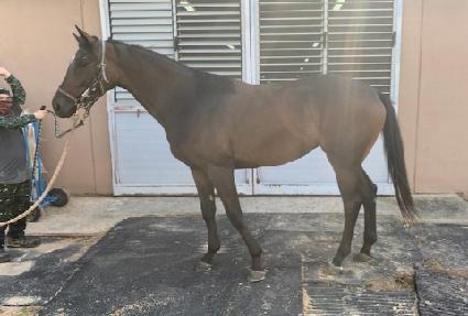 �̽����� ����