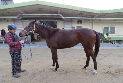 ������� ����