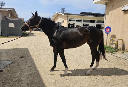 �Ŀ��ε� ����