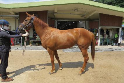 ũ������è�� ����