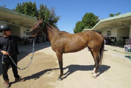 ���̵�� ����