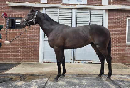 �Ž�Ÿ�� ����