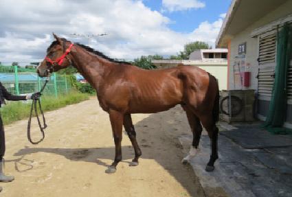 �ε�����Ʈ ����