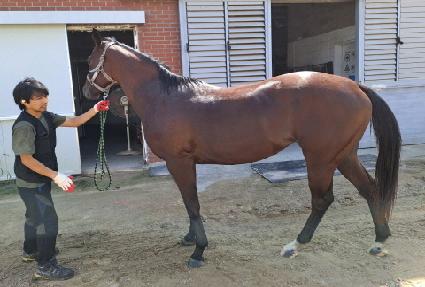 �帲�� ����