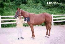 Ư������ (TEUK SU BI HAENG) ����