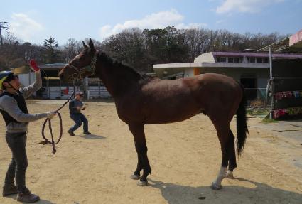 �Ŷ��������� ����