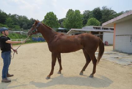 ���ʹ�Į���� ����