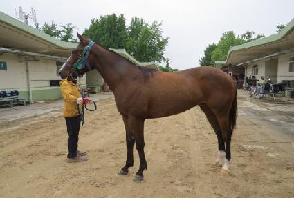 ���ʹ׺�Ʈ ����