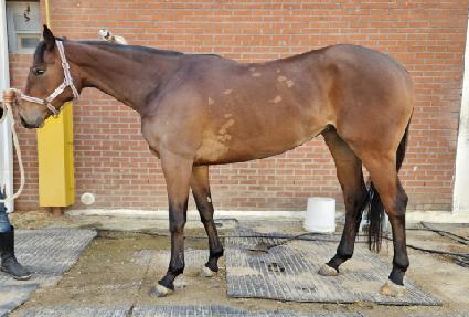 �����Ƿ�Ű ����