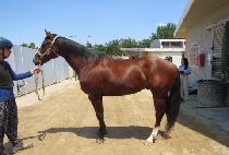 �ݺ����� (GEUMBIT YEONGUNG) ����