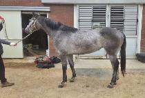 ����Ʈ����Ʈ (PERFECT POINT) ����