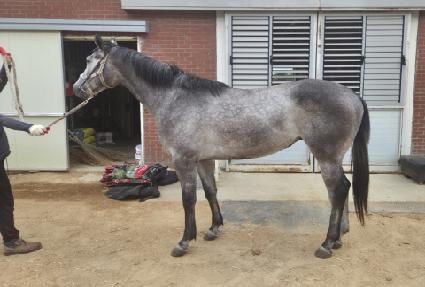 ����Ʈ����Ʈ ����