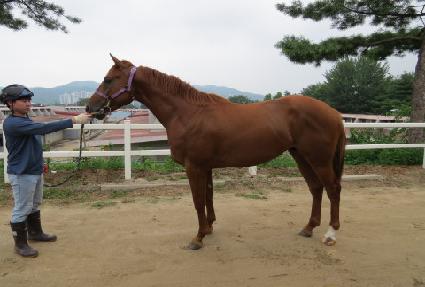 ������ ����