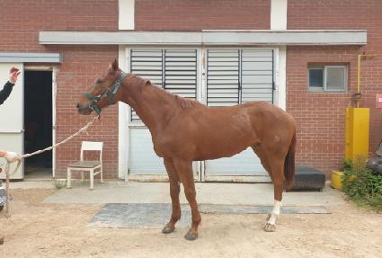 ������� ����