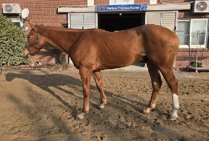 ��Ʈ��Ȱ ����