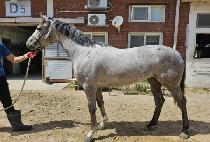 Ŭ������� (CLEARLY WINNER) ����