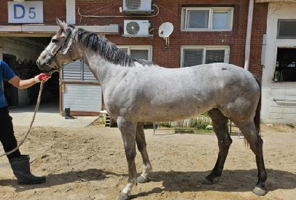 Ŭ������� ����