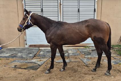 ���������Ʈ ����