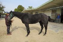 �������� (NURI YEOWANG) ����