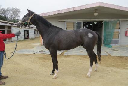 ��������Ʈ ����