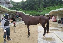 ������Ÿ (YEONDONG STAR) ����