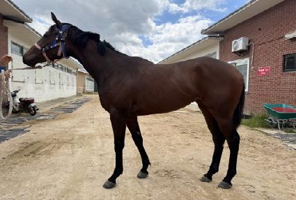 ������ġ ����