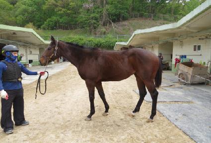 ����̼� ����