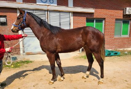 ������������ ����