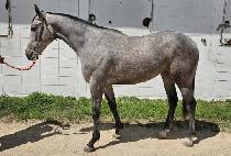 �������ð� (RESPECTING GIRL) ����