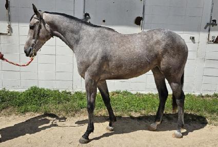 �������ð� ����