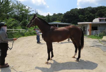 ȭ���� ����