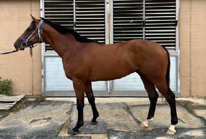 �ÿ����� ����