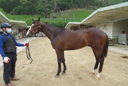 ũ���ֽ��� ����