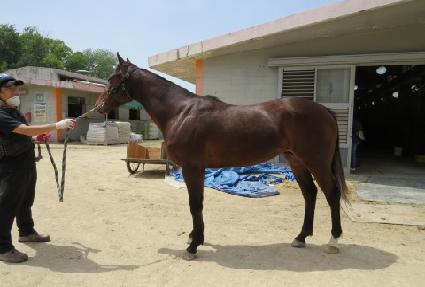 ����Ʈ�� ����